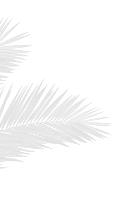 Island Way About palm