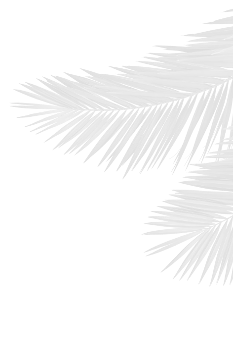 Island Way About palm