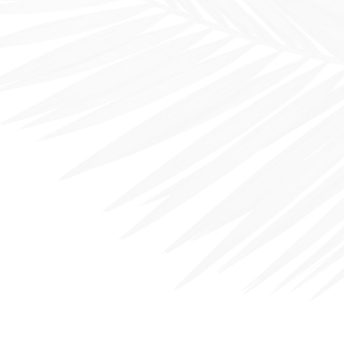 Islandway Palm Shape