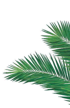 Island Way Palm Right